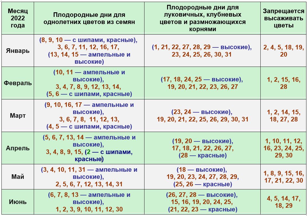 Благоприятные дни для посева однолетних цветов