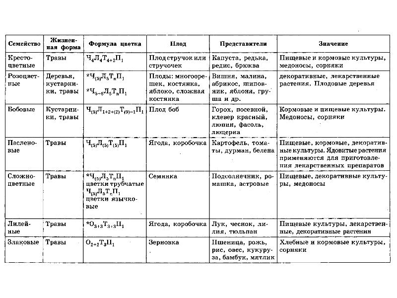 Колерия: уход в домашних условиях, способы размножения, пересадка