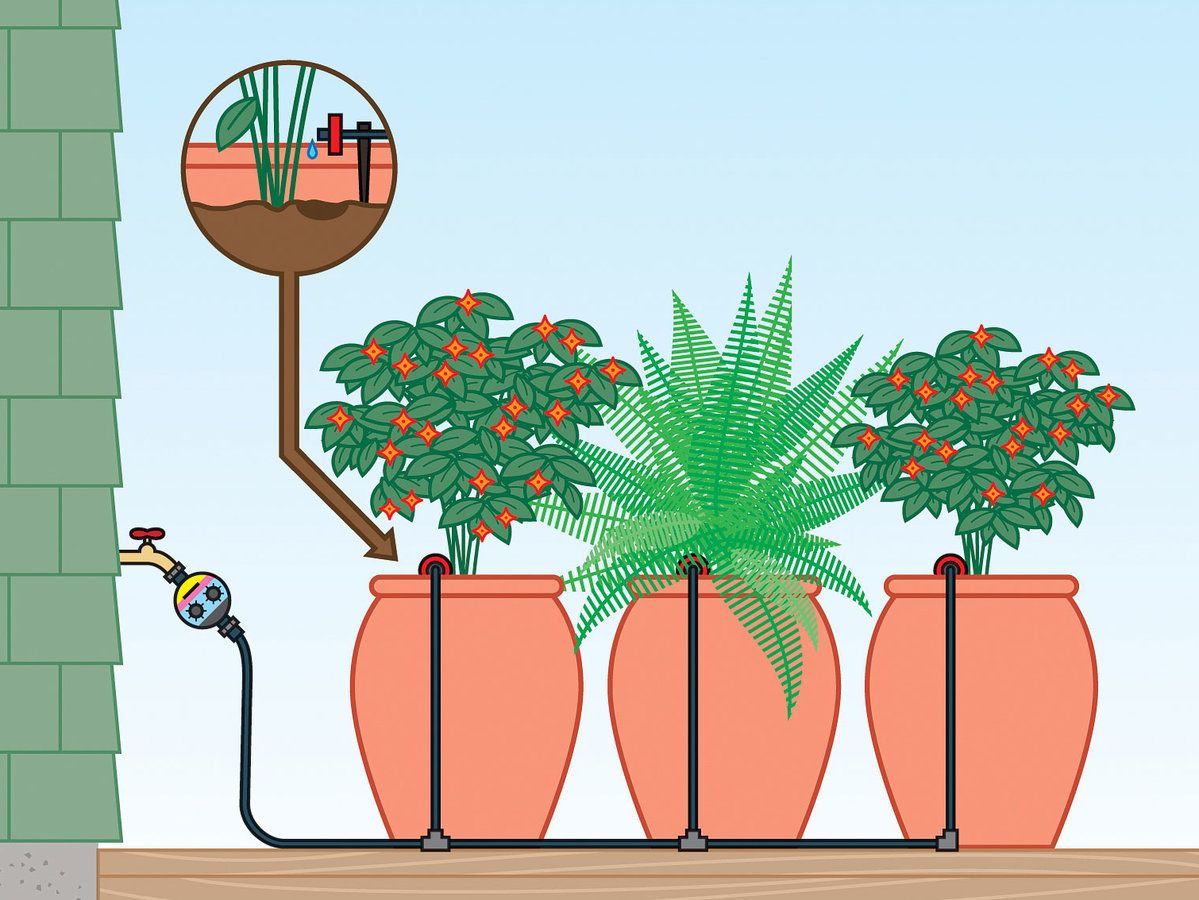 9 способов организовать автополив для комнатных растений
