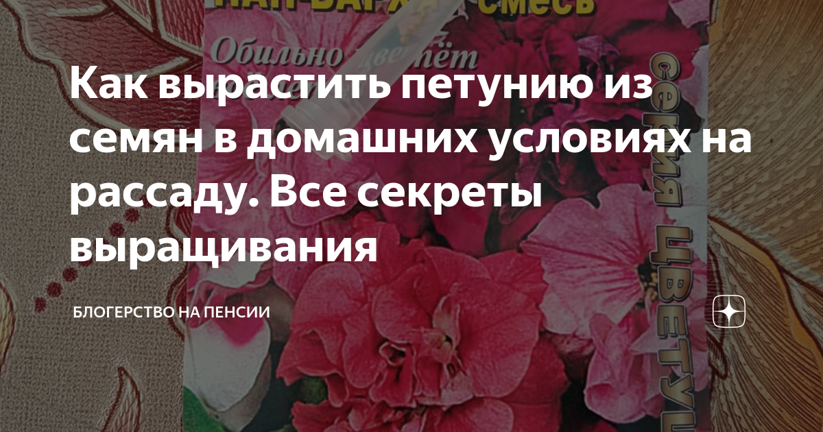 Такой род, как бровалия Browallia имеет прямое отношение к семейству пасленовые Solanaceae Данный род объединяет 6 видов травянистых многолетников В природе их можно повстречать в Южной Америке