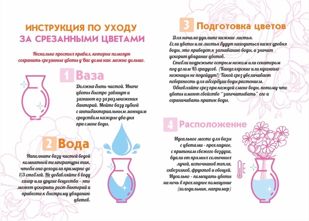 Всё о лилиях: сорта, посадка, уход и выращивание в домашних условиях