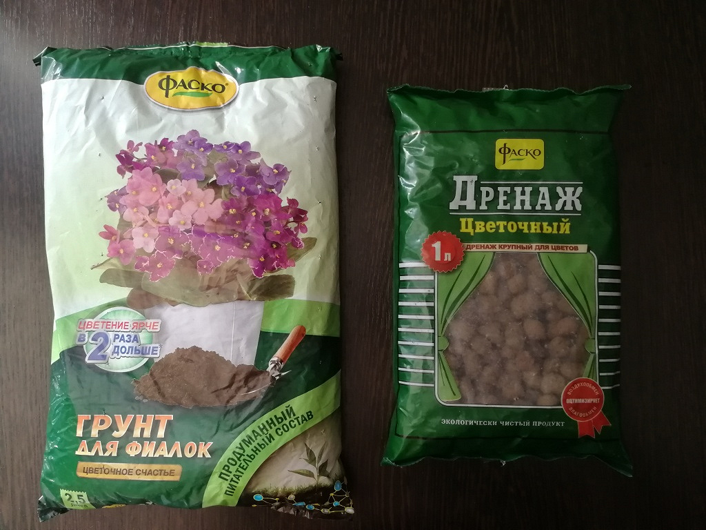 Фиалка: уход в домашних условиях, полив, размножение, посадка, фото