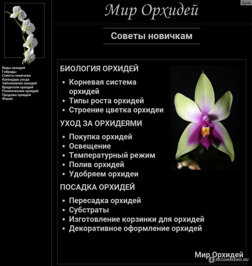 Фатсия японская: уход в домашних условиях, пересадка и размножение