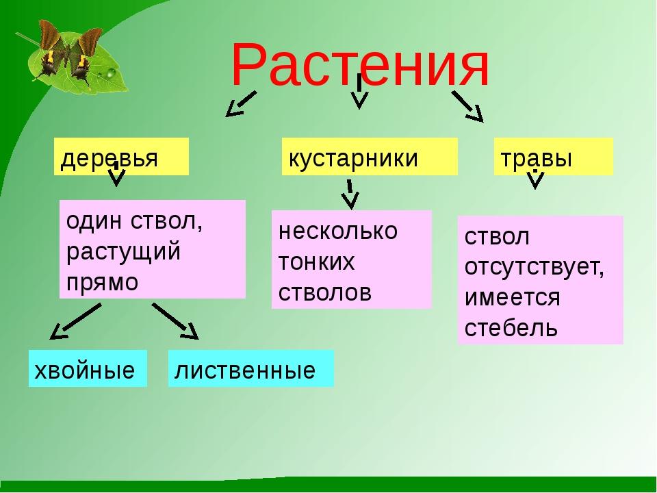 В школе окр мир 2 класс презентация