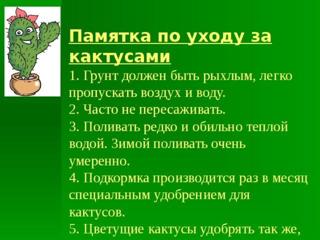 Как пишется кактус