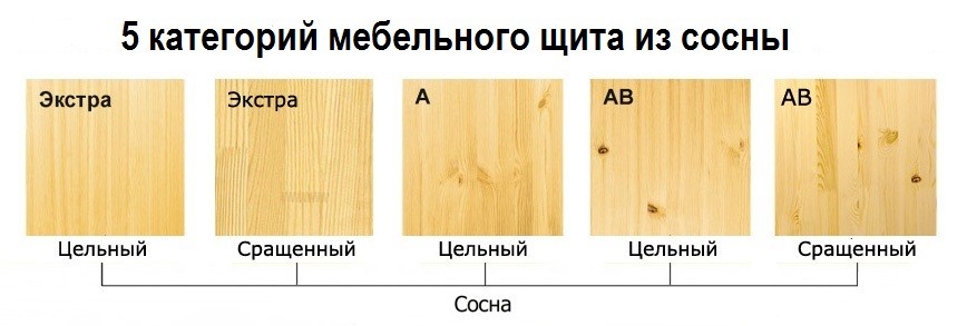 Розовые пионы: обзор популярных сортов культуры для выращивания