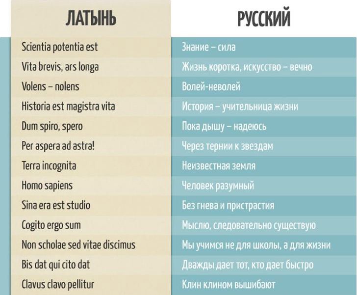 Слова на est. Выражения на латыни. Латинские фразы. Красивые латинские слова. Слова на латыни.