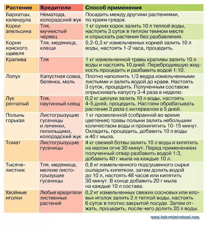 Вредители орхидей