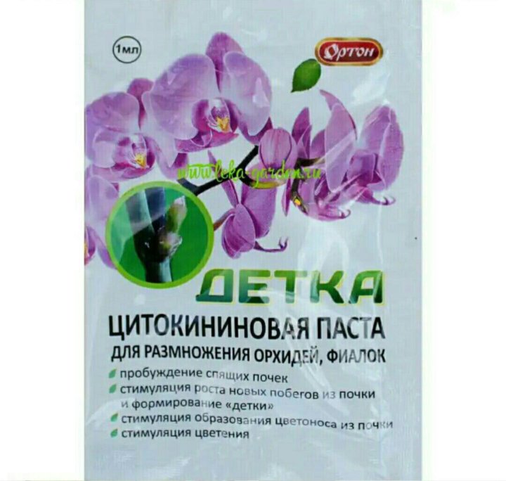 Цитокининовая паста для орхидей, фиалок, роз, фикусов и других комнатных растений: изготовление и использование