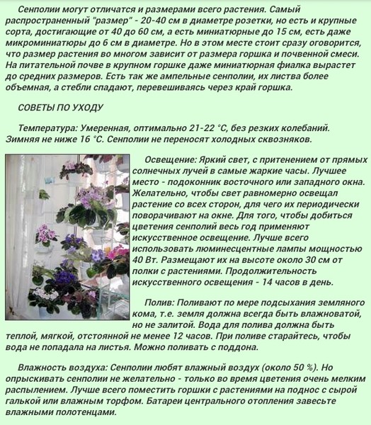 Инструкция по применению удобрения фертика для цветов и овощей