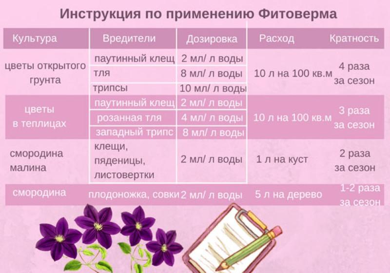 Фитоверм: применение и отзывы, инструкция как разводить и обрабатывать растения от долгоносика, клеща, огурцы, клубнику, капусту, комнатные