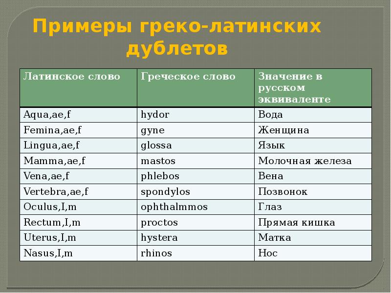 Слова образованные от греческого. Латинские слова. Слова из латинского языка. Слова на латыни. Слова латинского происхождения.