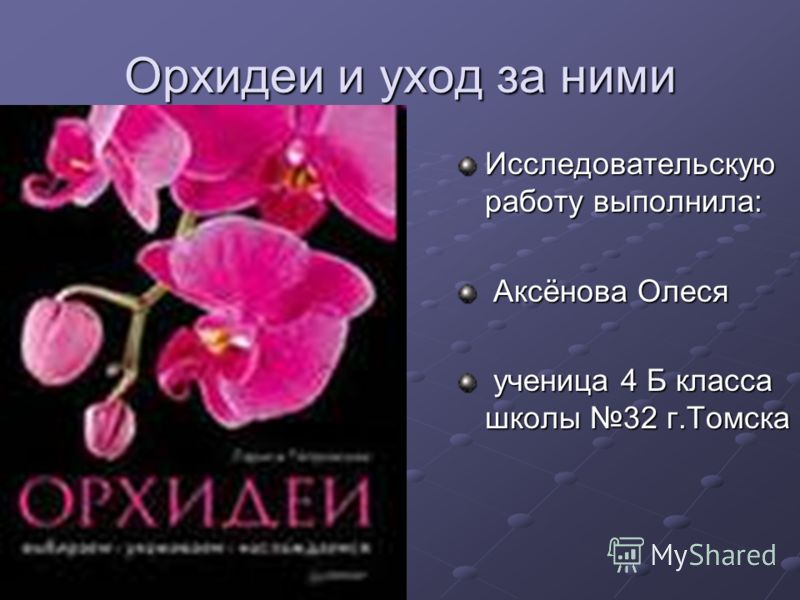 Орхидея на языке цветов
