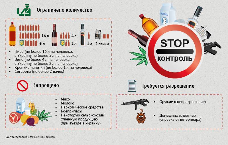 Выращиваю за 27 рублей саженцы и продаю по 1000 на авито: рассказываю как создала цветочный бизнес с 1 подаренной орхидеи - kompot journal