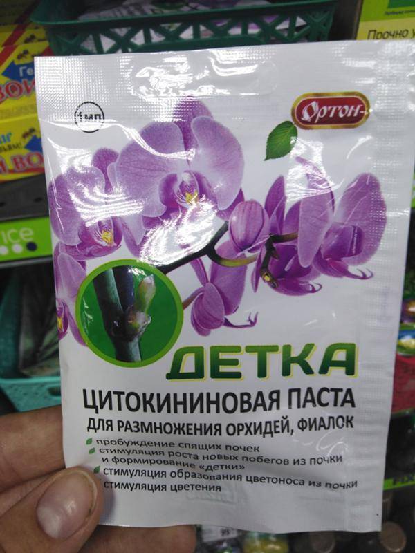 Янтарная кислота и цитокининовая паста: как применять для орхидей