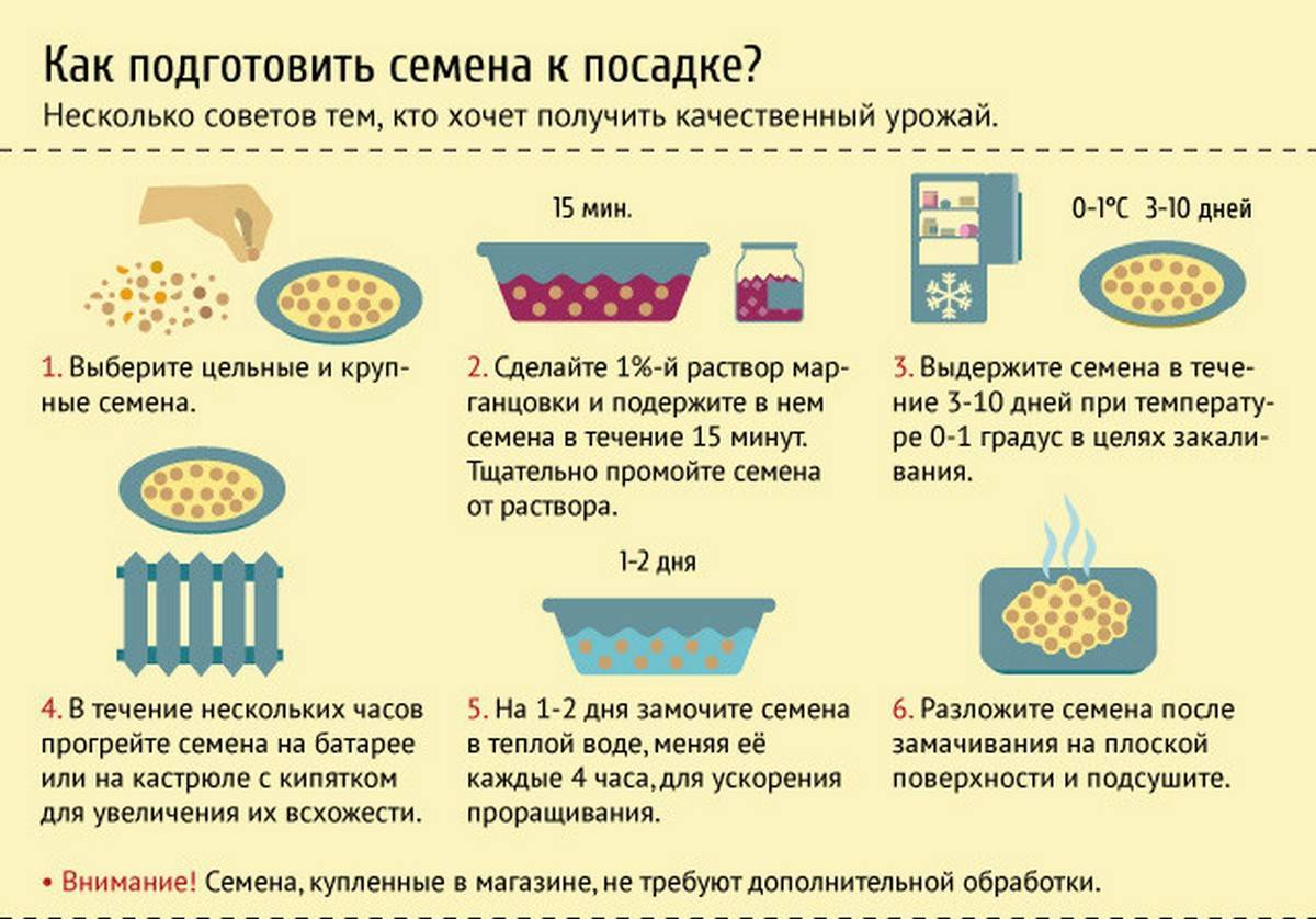 Семена тыквы сохраняют всхожесть 8 лет а пшеницы на 8 лет больше схема к задаче