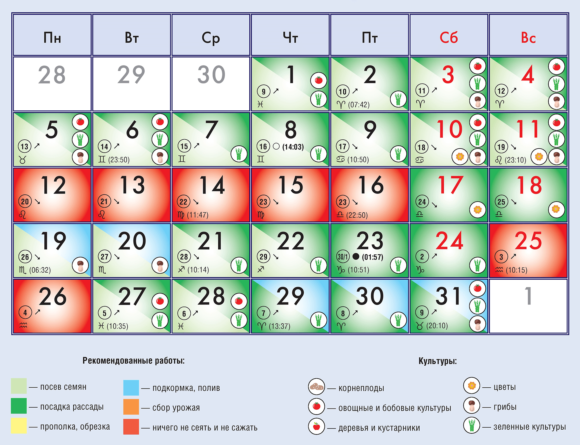 Посадка и пересадка фиалок в 2021 году по лунному календарю: благоприятные дни, уход