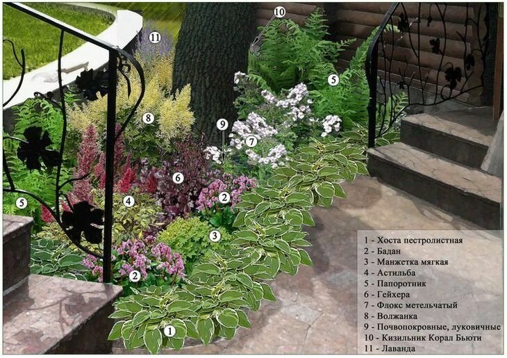 Удобрения для комнатных цветов в домашних условиях: 20 натуральных подкормок!