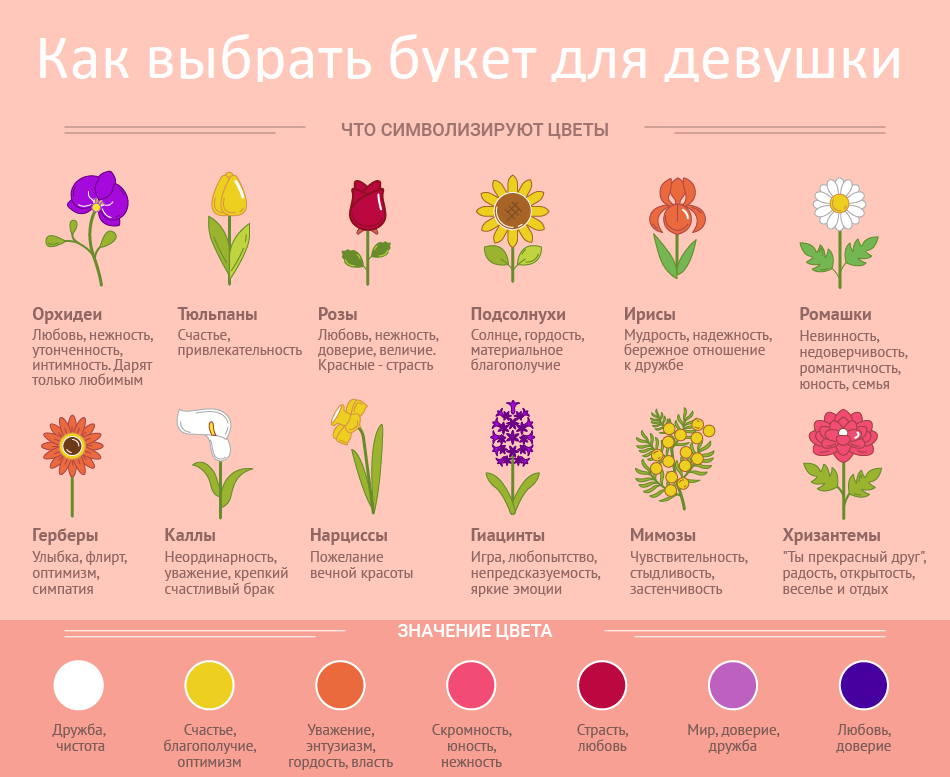 Народные приметы и суеверия об орхидеях: можно ли держать в доме