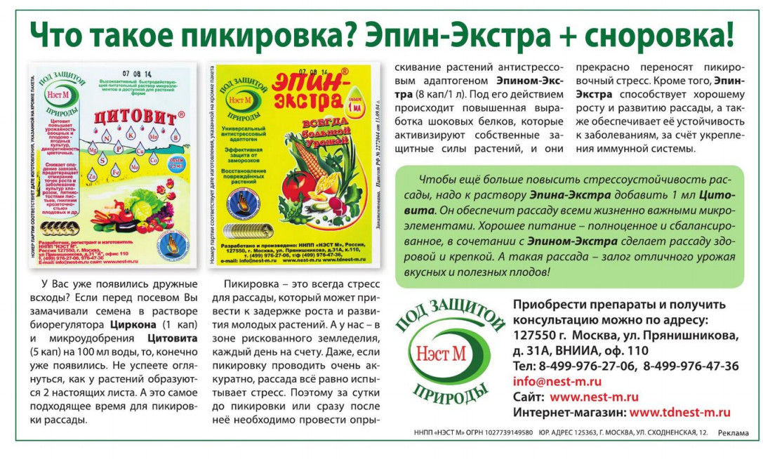 Удобрения для орхидей: чем подкармливать растение в период цветения и в иное время, какое из народных или магазинных средств лучше использовать в домашних условиях?
