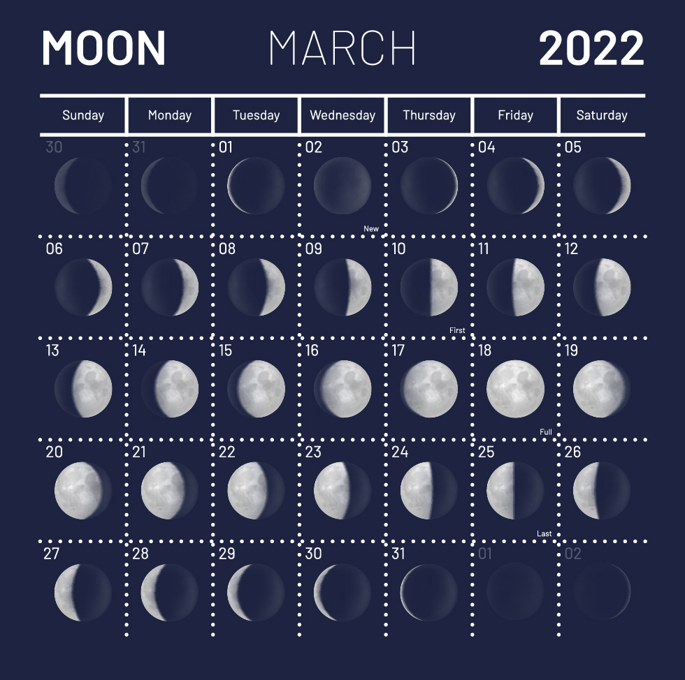 Лунный календарь цветовода на 2023 год для комнатных растений