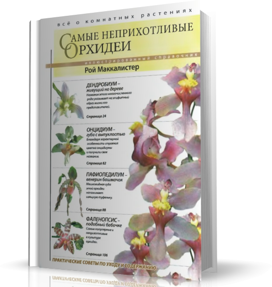 Фаленопсис: фото разных видов и сортов орхидей