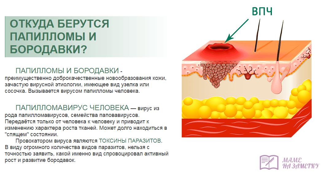 Омега 3-6-9: польза жирных кислот для организма