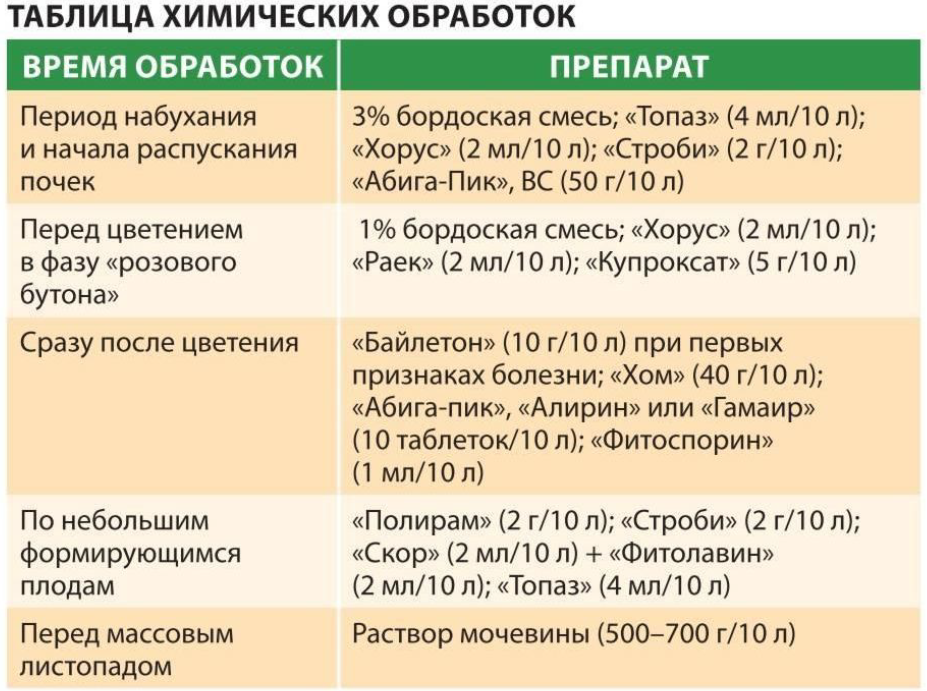 Вредители орхидей, фото, чем обработать, актара: дозировка, как развести и применение, щитовки: борьба с ними, белые насекомые подуры, описание нематод, инструкция