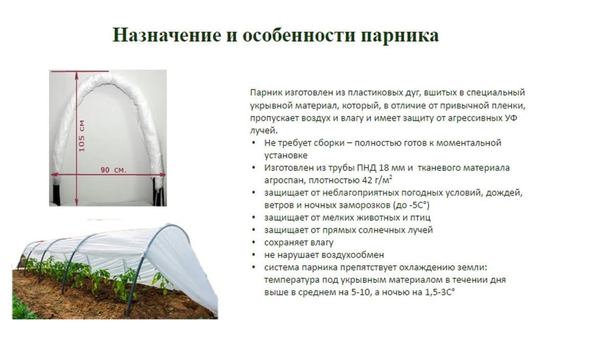 7 способов нарастить корни у орхидеи - flowersorhi.ru