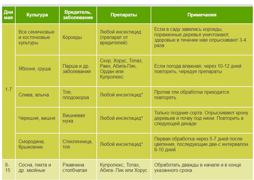 Орхидея: как вырастить роскошный цветок из тропиков своими руками