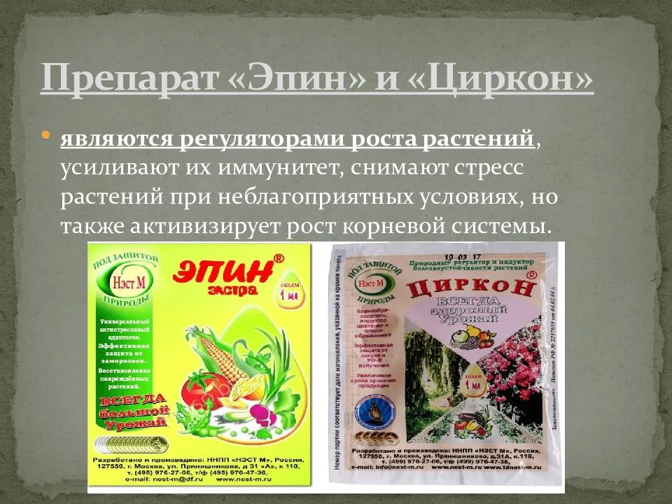 Циркон для рассады томатов и перцев применение. Эпин-Экстра для рассады. Препарат Эпин Экстра. Удобрение Эпин Экстра. Эпин Экстра для растений.