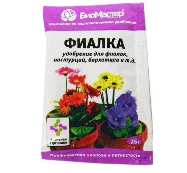 Топ-6 способов как заставить обильно цвести фиалки
