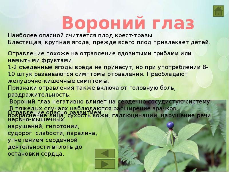 Орхидея ядовита или нет, а также вред или пользу несет для организма человека в доме и какие сорта подходят для выращивания в квартире?дача эксперт