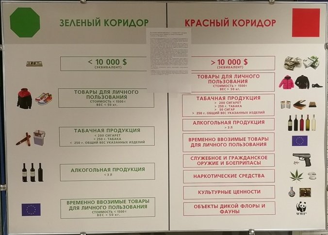 Орхидея: пересадка после покупки, надо ли делать из магазинного горшка в новый в домашних условиях, другие правила и пошаговая инструкция