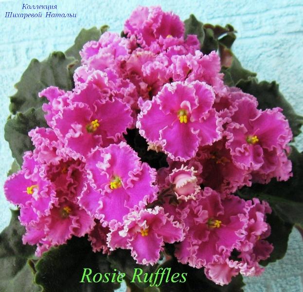 Rosie ruffles фиалка фото и описание