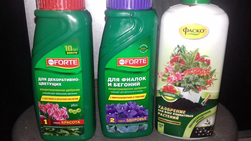 Янтарная кислота для цветов: как применять, как разводить и подкормить