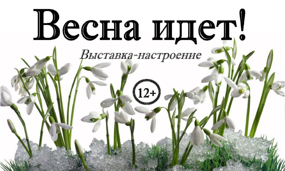 Самые красивые и популярные сорта фиалок: список с описанием и характеризующими фото