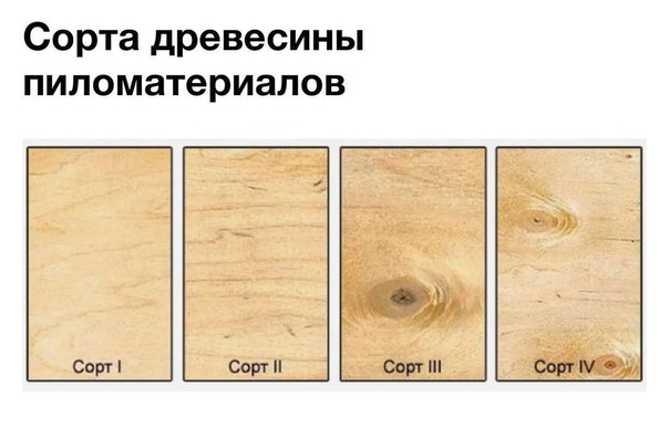 Сорта пионов (24 фото) с описанием и характеристиками, классификация