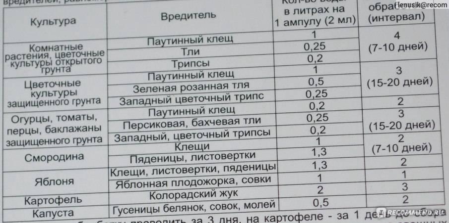 Фитоверм для рассады томатов как развести. Фитоверм МКЭ. Обработка Фитовермом. Фитоверм КЭ инструкция. Фитоверм для огурцов в открытом грунте.